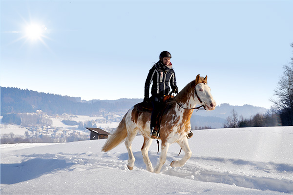 Frau reitet durch Winterlandschaft