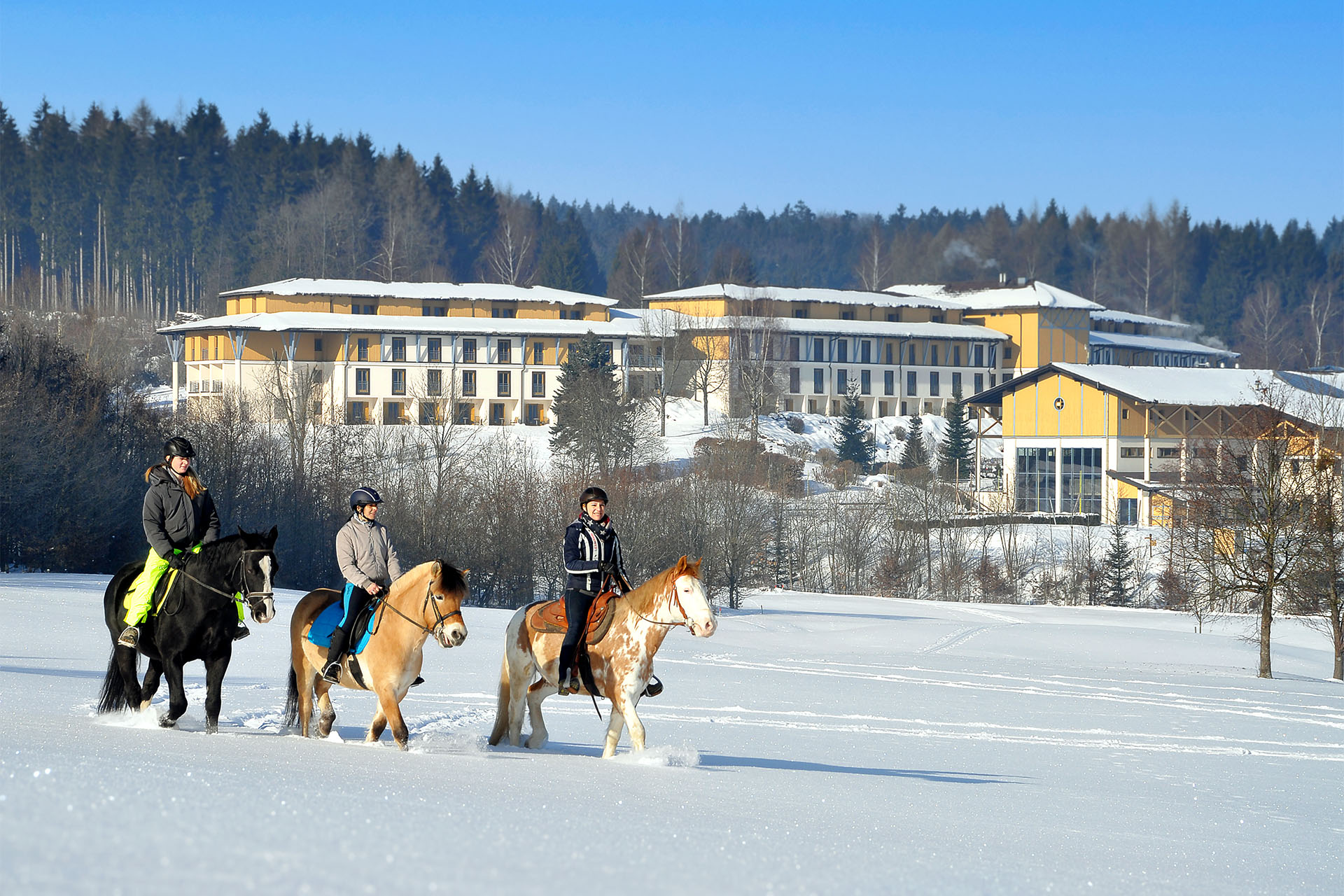 3 Frauen auf Pferden reiten im Hausruckwald. Im Hintergrund der Aldiana Club Ampflwang